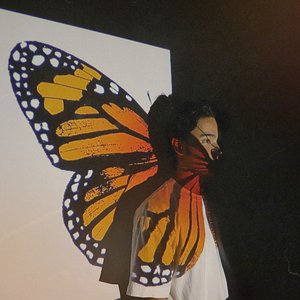 Image for 'Butterfly Effect'