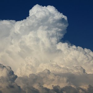 Imagen de 'Drönvall'
