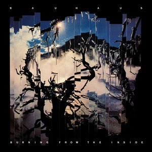 Image for 'Burning from the Inside'