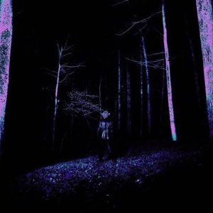 Image for 'Director's Cut'
