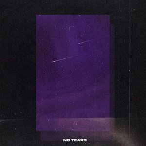 Image for 'No Tears'