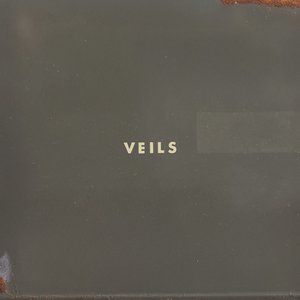 Image for 'Veils'