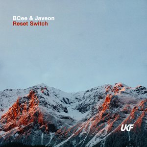 Immagine per 'Reset Switch'