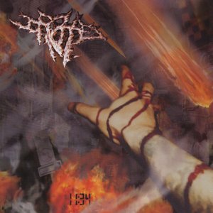 Image for '11:34'