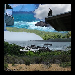 Image for 'In Environment'