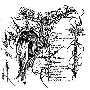 Image for 'Fracture Of Marika'