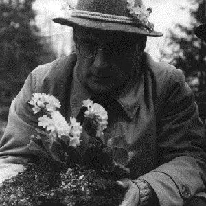 Image for 'Anton Webern'
