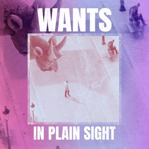 Image for 'In Plain Sight'