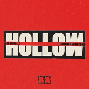 Image for 'Hollow'