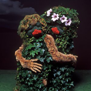 Image for 'Despierta'