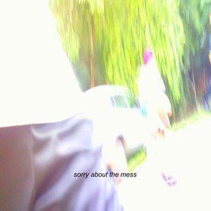 Image for 'sorry about the mess'