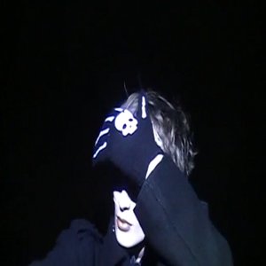 Image for 'Isfugl'