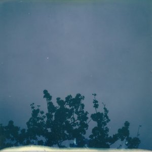 Image pour '花落知多少'