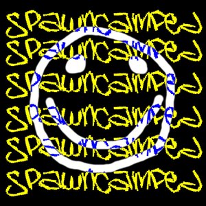 Image for 'spawncamped'