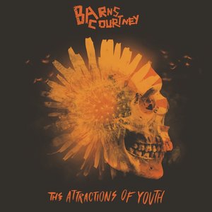 'The Attractions of Youth'の画像