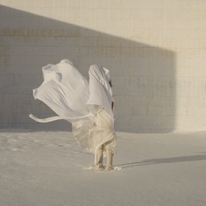 Image for 'Too Much'
