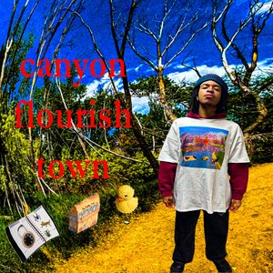 Image for 'canyon flourish town'