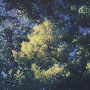 Image for 'Still Beauty'