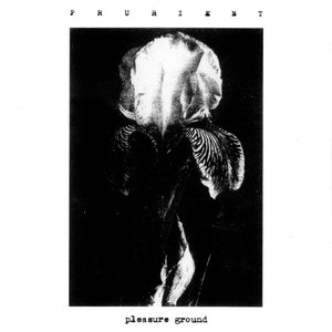 Bild für 'Pleasure Ground'