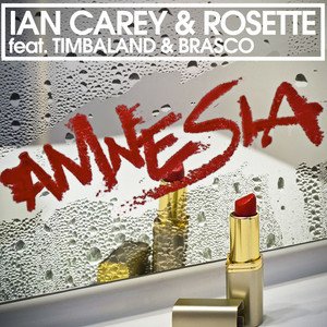Bild für 'Amnesia (feat. Timbaland & Brasco) [Remixes]'