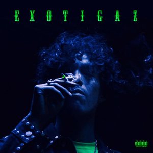 Immagine per 'EXOTIGAZ'