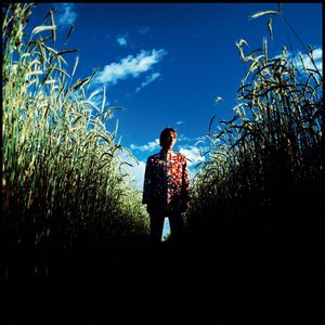 Image for 'Paul Weller'