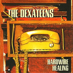 Immagine per 'Hardwire Healing'