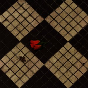 Image for 'In the dark'