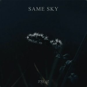 Image for 'Same Sky'