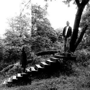 Image for 'Timber Timbre'