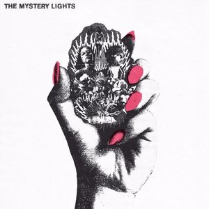 Immagine per 'The Mystery Lights'
