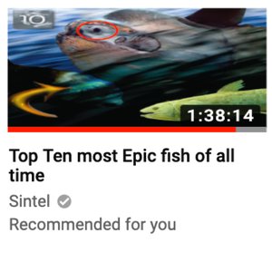 Zdjęcia dla 'Top Ten most Epic fish of all time'