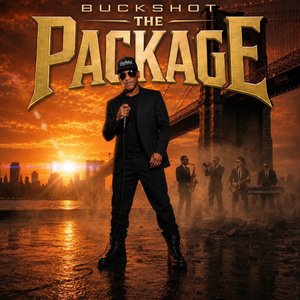 Bild för 'The Package'