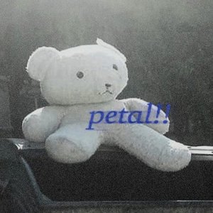 Image for 'petal redd'