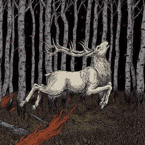Image for 'Ladoga'