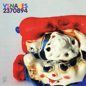 Image for 'VSNARES 2370894'