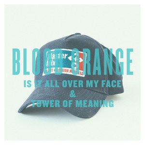 Image for 'Is It All Over My Face & Tower Of Meaning'