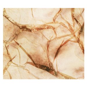 Image for 'Tectonic Particles'
