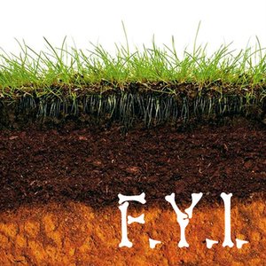 Imagem de 'F.Y.I.'