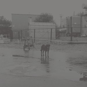 Image for 'After its own death / Walking in a spiral towards the house'