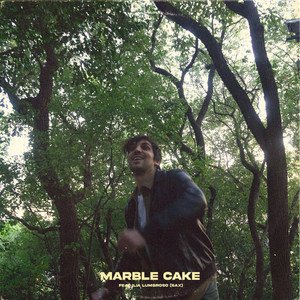 Image for 'Marble Cake'