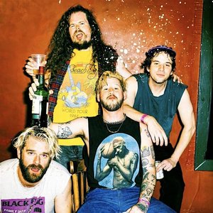 Imagen de 'Wavves'