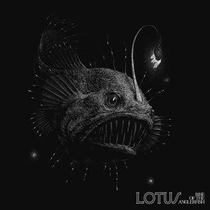 Image for 'Rise of the Anglerfish'