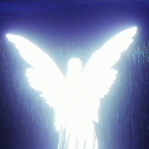 Image for 'days of blue skies'