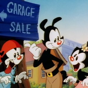Immagine per 'Animaniacs'