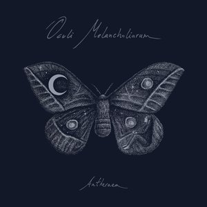 Image for 'Antheraea'