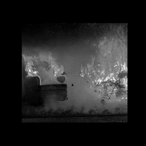 Image for 'Simple Desastre'