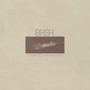 Imagem de 'A Field Of Manmade Fires'