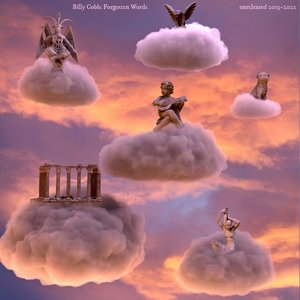 Immagine per 'Forgotten Words: Unreleased 2019-2022'