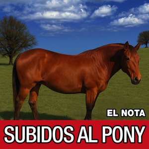 Image for 'SUBIDOS AL PONY'